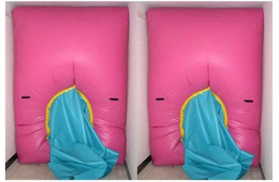 點(diǎn)擊查看詳細(xì)信息<br>標(biāo)題：快速封堵氣囊 閱讀次數(shù)：2778