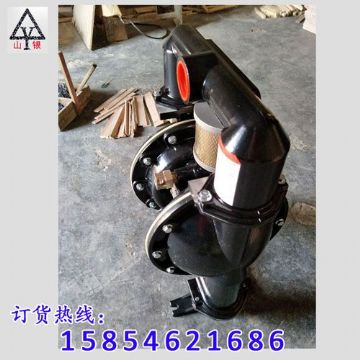 點擊查看詳細信息<br>標題：氣動隔膜泵著名品牌-氣動隔膜泵廠家 閱讀次數：2055