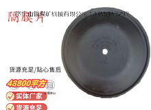 點(diǎn)擊查看詳細(xì)信息<br>標(biāo)題：氣動(dòng)隔膜泵配件-隔膜片 閱讀次數(shù)：309