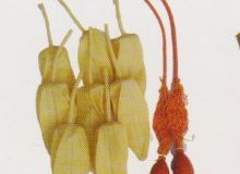 點擊查看詳細信息<br>標題：取氣樣球膽 閱讀次數：262